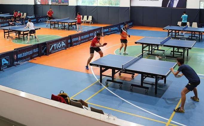 Masa Tenisi Canli Izle Mudo Avize