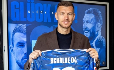 Edin Dzeko, Schalke 04'te!